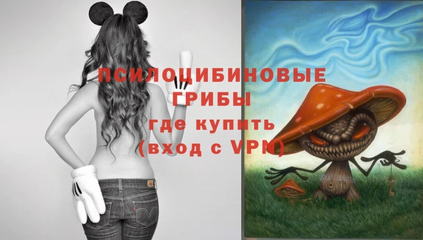 jwh Алзамай