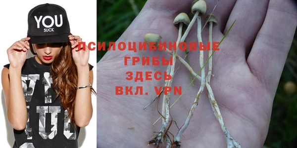 прущие грибы Алексеевка