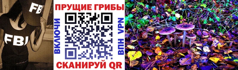 Псилоцибиновые грибы мицелий  Скопин 